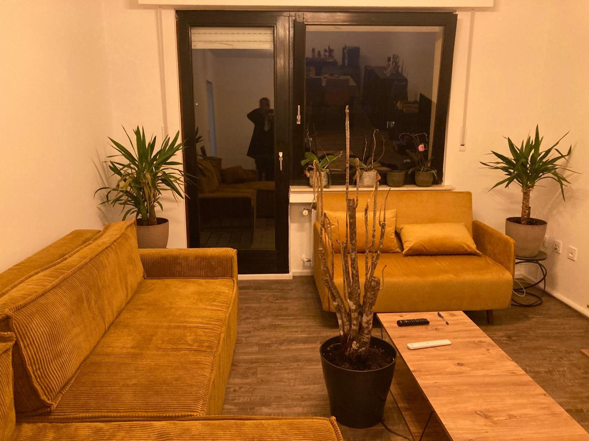 Nice Cozy Appartment 雷米希 外观 照片