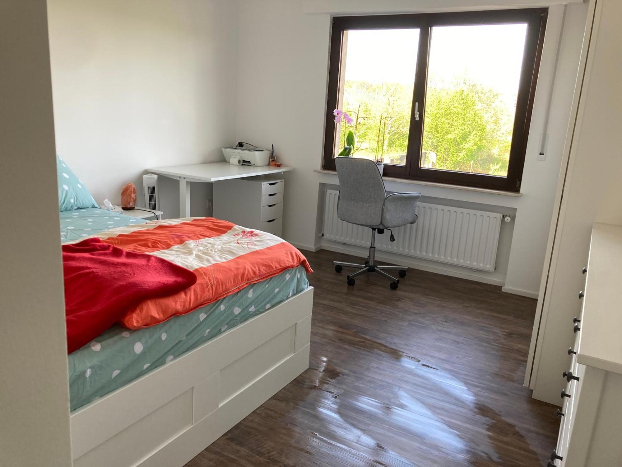 Nice Cozy Appartment 雷米希 外观 照片